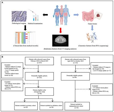 Individualized Prediction of Colorectal Cancer Metastasis Using a Radiogenomics Approach